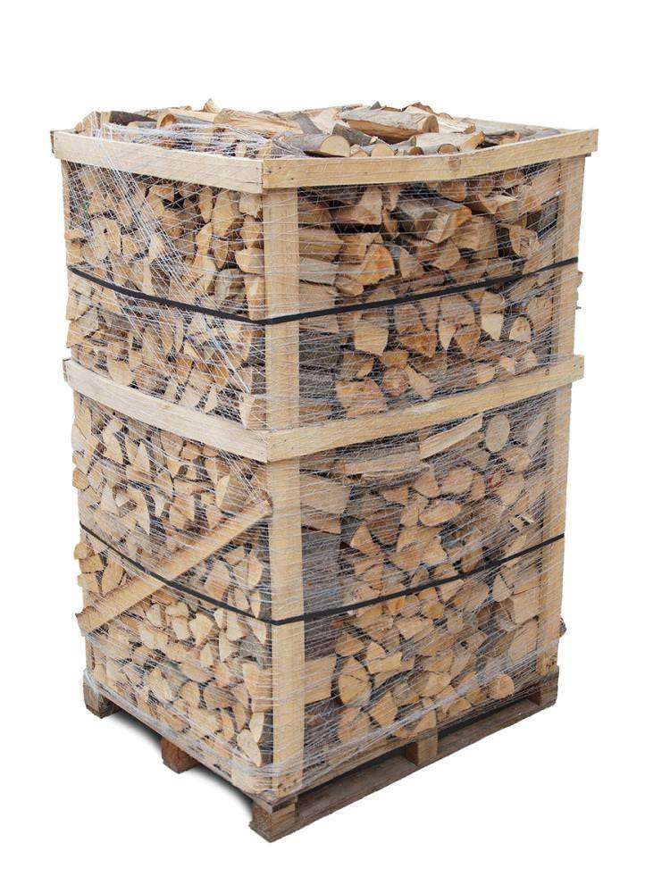 Lydraos Bois de Chauffage Hêtre 25cm